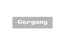 ru.gorgany.com